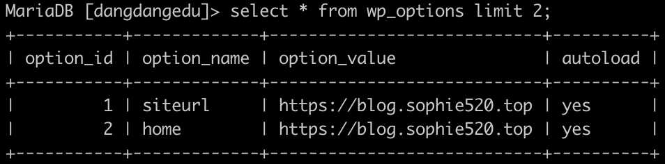 wp_options